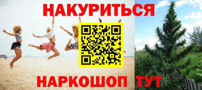 крисы Жуковский