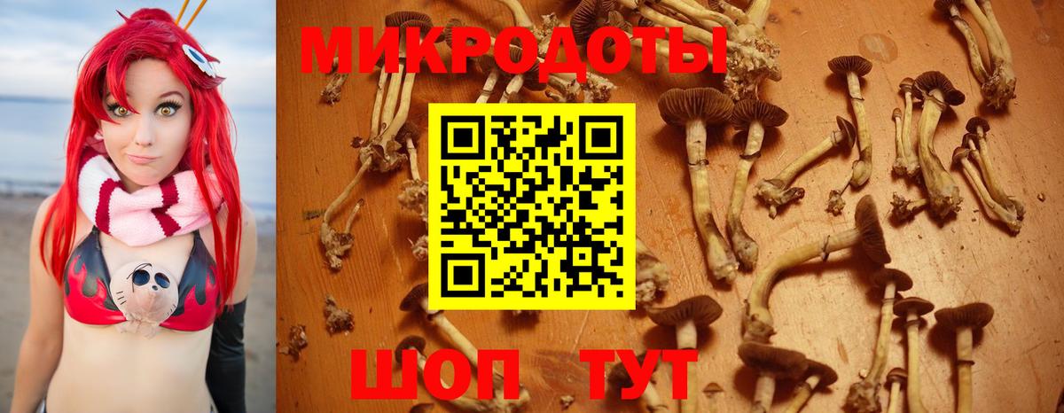 Псилоцибиновые грибы Cubensis  Вход с VPN  Майский 